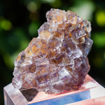 Fluoriet La Barre | Driekleur fluoriet | Minerals by Mike & Isis