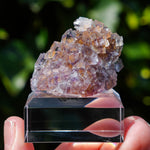 Fluoriet La Barre | Driekleur fluoriet | Minerals by Mike & Isis
