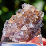 Fluoriet La Barre | Driekleur fluoriet | Minerals by Mike & Isis