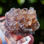 Fluoriet La Barre | Driekleur fluoriet | Minerals by Mike & Isis