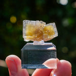 Fluoriet La Barre | Blauw Geel Fluoriet | Minerals by Mike & Isis