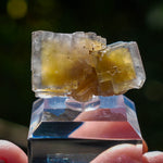 Fluoriet La Barre | Blauw Geel Fluoriet | Minerals by Mike & Isis