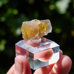Fluoriet La Barre | Blauw Geel Fluoriet | Minerals by Mike & Isis