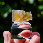 Fluoriet La Barre | Blauw Geel Fluoriet | Minerals by Mike & Isis