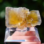 Fluoriet La Barre | Blauw Geel Fluoriet | Minerals by Mike & Isis