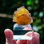 Fluoriet Valzergues | Gele blauwe fluoriet | Minerals by Mike & Isis