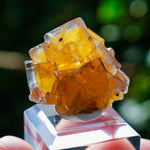 Fluoriet Valzergues | Gele blauwe fluoriet | Minerals by Mike & Isis