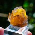 Fluoriet Valzergues | Gele blauwe fluoriet | Minerals by Mike & Isis