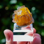Fluoriet Valzergues | Gele blauwe fluoriet | Minerals by Mike & Isis
