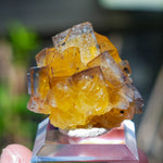 Fluoriet Valzergues | Gele blauwe fluoriet | Minerals by Mike & Isis