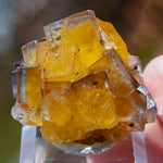 Fluoriet Valzergues | Gele blauwe fluoriet | Minerals by Mike & Isis