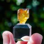 Fluoriet Valzergues | gele blauwe fluoriet | Minerals by Mike & Isis