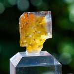 Fluoriet Valzergues | gele blauwe fluoriet | Minerals by Mike & Isis