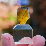 Fluoriet Valzergues | gele blauwe fluoriet | Minerals by Mike & Isis