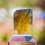 Fluoriet Valzergues | gele blauwe fluoriet | Minerals by Mike & Isis