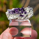 Fluoriet Saint Peray | Paarse fluoriet | Minerals by Mike & Isis