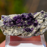 Fluoriet Saint Peray | Paarse fluoriet | Minerals by Mike & Isis