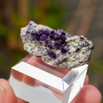 Fluoriet Saint Peray | Paarse fluoriet | Minerals by Mike & Isis