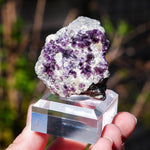 Fluoriet Saint-Peray | Paarse fluoriet | Minerals by Mike & Isis