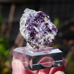 Fluoriet Saint-Peray | Paarse fluoriet | Minerals by Mike & Isis