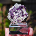 Fluoriet Saint-Peray | Paarse fluoriet | Minerals by Mike & Isis