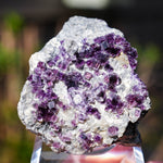 Fluoriet Saint-Peray | Paarse fluoriet | Minerals by Mike & Isis