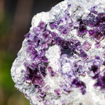 Fluoriet Saint-Peray | Paarse fluoriet | Minerals by Mike & Isis