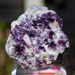 Fluoriet Saint-Peray | Paarse fluoriet | Minerals by Mike & Isis