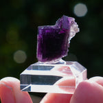 Fluoriet Weisseck | Gipfelkluft Fluoriet | Minerals by Mike & Isis