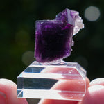 Fluoriet Weisseck | Gipfelkluft Fluoriet | Minerals by Mike & Isis