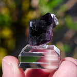 Fluoriet Weisseck | Gipfelkluft Fluoriet | Minerals by Mike & Isis