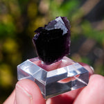 Fluoriet Weisseck | Gipfelkluft Fluoriet | Minerals by Mike & Isis