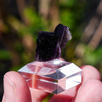 Fluoriet Weisseck | Gipfelkluft Fluoriet | Minerals by Mike & Isis