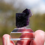 Fluoriet Weisseck | Gipfelkluft Fluoriet | Minerals by Mike & Isis