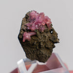 rhodochrosiet potosi mexico