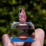 rhodochrosiet potosi mexico