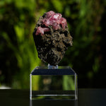 rhodochrosiet potosi mexico