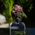 rhodochrosiet potosi mexico