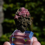 rhodochrosiet potosi mexico