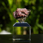 rhodochrosiet potosi mexico