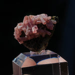 rhodochrosiet potosi mexico