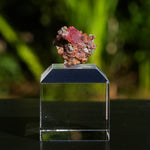 rhodochrosiet potosi mexico