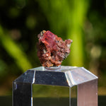 rhodochrosiet potosi mexico
