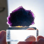 fluoriet paars Weisseck Oostenrijk