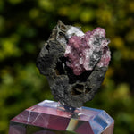 rhodochrosiet potosi mexico