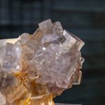 Fluoriet uit Collada #5