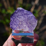 Fluoriet El Tule | Mexicaanse fluoriet | Minerals by Mike & Isis