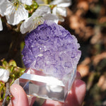 Fluoriet El Tule | Mexicaanse fluoriet | Minerals by Mike & Isis
