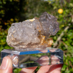 Fluoriet uit Collada #5