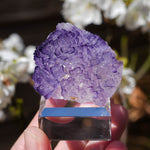 Fluoriet El Tule | Mexicaanse fluoriet | Minerals by Mike & Isis